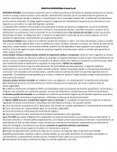 Practica profesional 3