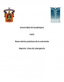 Reporte: Línea de emergencia