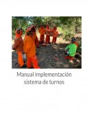 Manual Implementación sistema de turnos