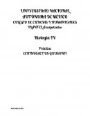 ECHINOCACTUS GRUSONII