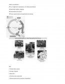 Biología de plantas