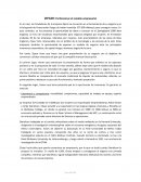 ZIPCAR: Perfeccionar el modelo empresarial
