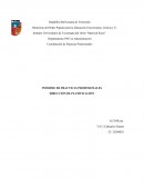 INFORME DE PRACTICAS PROFESIONALES DIRECCIÓN DE PLANIFICACIÓN