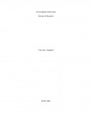 Caso Ético Snapchat