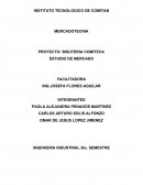 PROYECTO: BISUTERIA COMITECA ESTUDIO DE MERCADO
