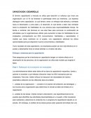 CAPACITACION Y DESARROLLO