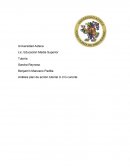 Análisis plan acción tutorial cu-norte