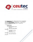 Foro NO 2 - Captar la Voz del cliente