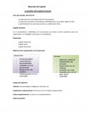 Resumen de Capital La gestión del capital humano