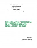 SITUACION ACTUAL Y PERSPECTIVA DE LA PRODUCCION DE AVES, CERDOS, PECES Y CONEJOS