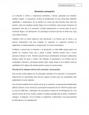 Sensación y percepción. Revisión de los enfoques teóricos de la sensación y la percepción