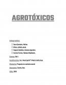 Agroquímicos y su historia: ¿Qué son los agroquímicos y agrotóxicos?