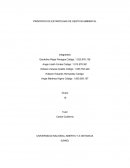 PRINCIPIOS DE ESTARTEGIAS DE GESTION AMBIENTAL