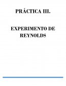 PRÁCTICA III. EXPERIMENTO DE REYNOLDS