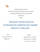 Agroindustria vegetal. Proceso tecnológico de extrusión