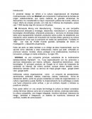 Estudio de la cultura organizacional en empresas multinacionales