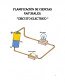 PLANIFICACIÓN DE CIENCIAS NATURALES: “CIRCUITO ELECTRICO “
