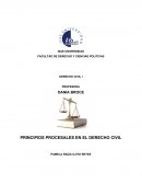 PRINCIPIOS PROCESALES EN EL DERECHO CIVIL