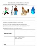 Integración de los contenidos de Ciencias Naturales.Caracteristicas de los seres vivos