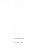 Teoria Organizacional y Habilidades Gerenciales