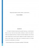 Trabajo final de análisis económico, político y social de mexico