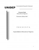 Proyecto final planeación estratégica