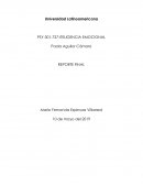 INTELIGENCIA EMOCIONAL. Analisis del estrés