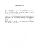 Cuarta Revolución Industrial en una provincia que está dentro de las zonas rezagadas de Chile