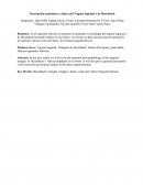 Descripción anatómica y clínica del Trígono inguinal o de Hesselbach