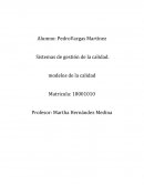 Sistemas de gestión de la calidad