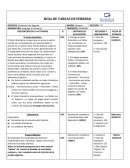 Los reyes del verano