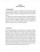 Marco conceptual política fiscal