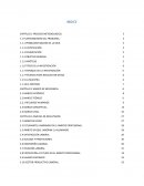 La etapa de toma de decisiones en los jóvenes profesionistas