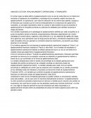 ANALISIS LECTURA “APALANCAMIENTO OPERACIONAL Y FINANCIERO”