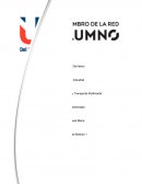 Logística TRasporte