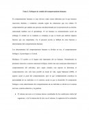 Tema 2: Enfoques de estudio del comportamiento humano