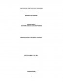 GERENCIA DE SISTEMAS