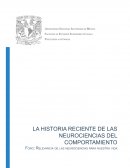 Neurociencia y educación