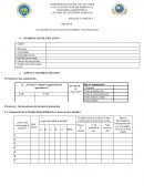 Encuesta sobre sistemas de producción