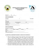 CONTRATO LEGAL DE ADOPCION DE UN ANIMAL DE COMPAÑIA