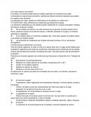 ¿Por que construir una huerta?