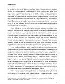 Ensayo de la libertad. Tipos de Libertad