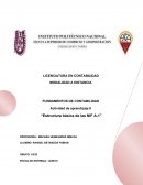 Estructura basica de las normas NIF A1