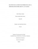 DIAGNÓSTICO DE LAS PRINCIPALES PROBLEMÁTICAS DE LA ADMINISTRACIÓN DE MERCADOS EN LA ACTUALIDAD