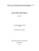 PRODUCTO 3: ANÁLISIS SISTEMA DE GESTIÓN EN SEGURIDAD Y SALUD EN EL TRABAJO Y PLANES DE RESPUESTA ANTE EMERGENCIA