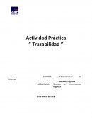 TRAZABILIDAD DE PRODUCTOS (logística)