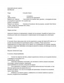 Descripción y Perfil Cargo Consultor Senior