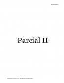 AUDITORIA. LOS ELEMENTOS DEL CONTROL INTERNO