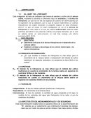 Tipos de cultivos de la "lactuca sativa"