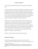COACHING AMBIENTAL